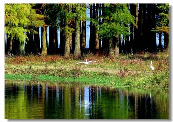 余姚四明湖开元山庄,余姚四明湖开元山庄自驾游