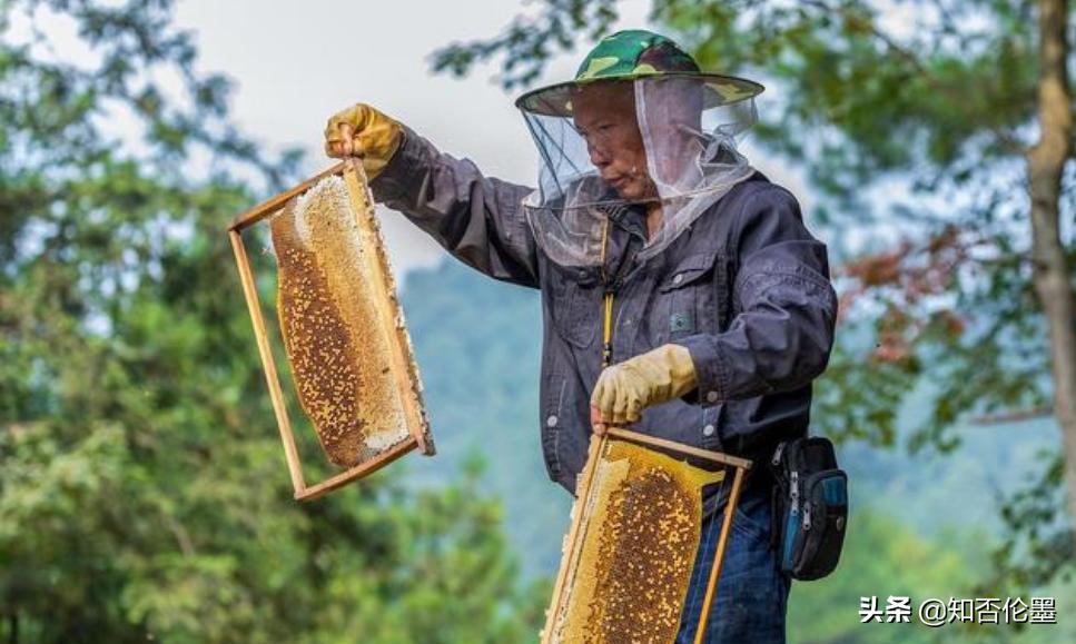 农村种植什么最赚钱投资小见效快,农村有什么投资小挣钱的好项目