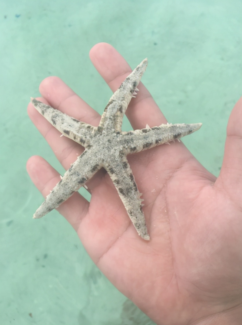 菲律宾自由行旅游攻略地图,菲律宾10天深度游