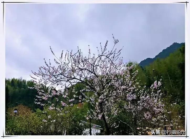 春游|五府山踏青蜜蜂谷