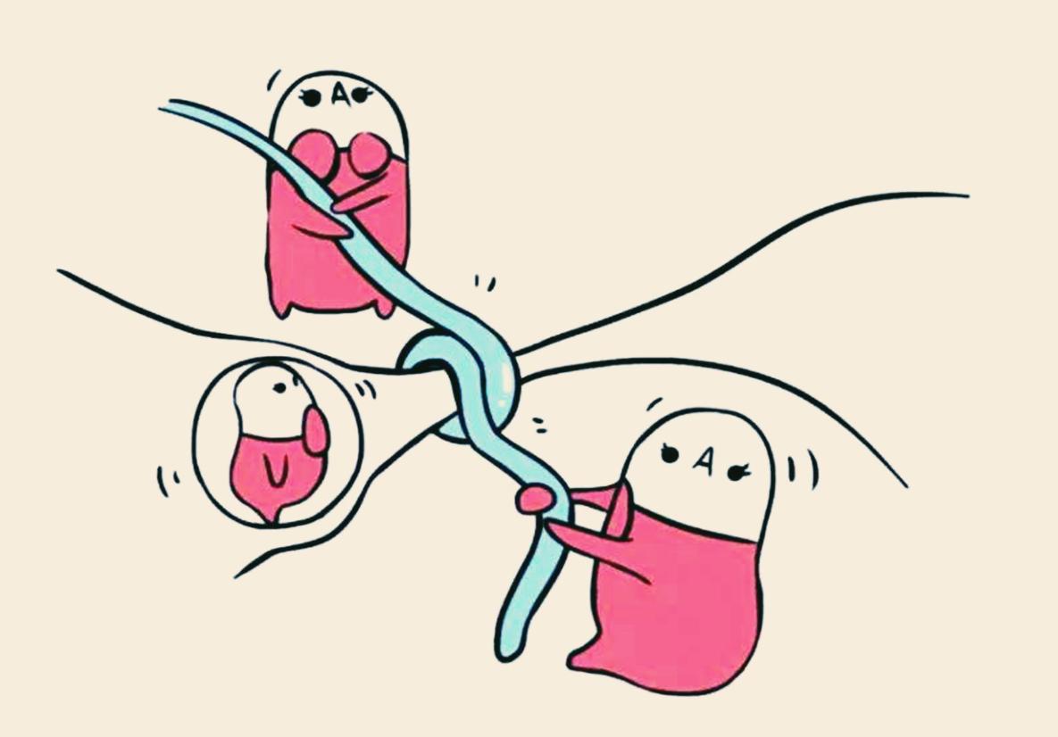 世界各国是怎么避孕的,各国夫妻怎么避孕