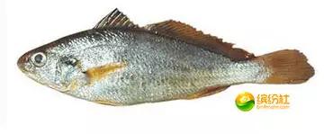 舟山海鲜攻略2天3晚吃什么,舟山海鲜代加工攻略