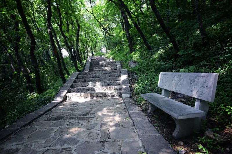 抱犊崮门票半价政策,中考生福利重庆