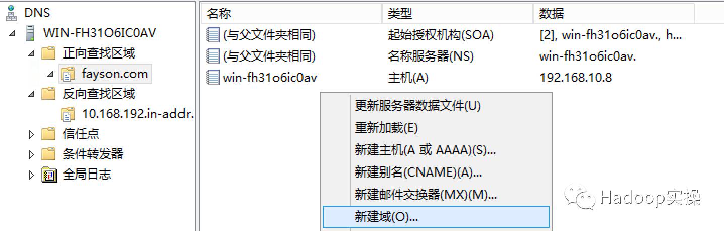 winserver2012dns服务查询,windows如何搭建虚拟dns服务器
