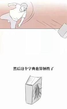 广东的蟑螂有多可怕,广东的蟑螂有多可怕动画版