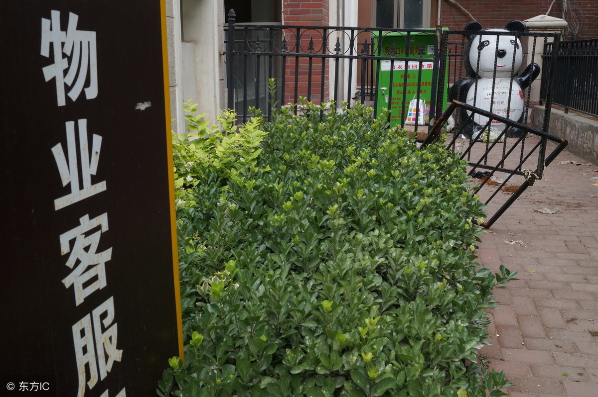 物业价格歧视可以拒交物业费吗,物业服务不好能否拒交物业费