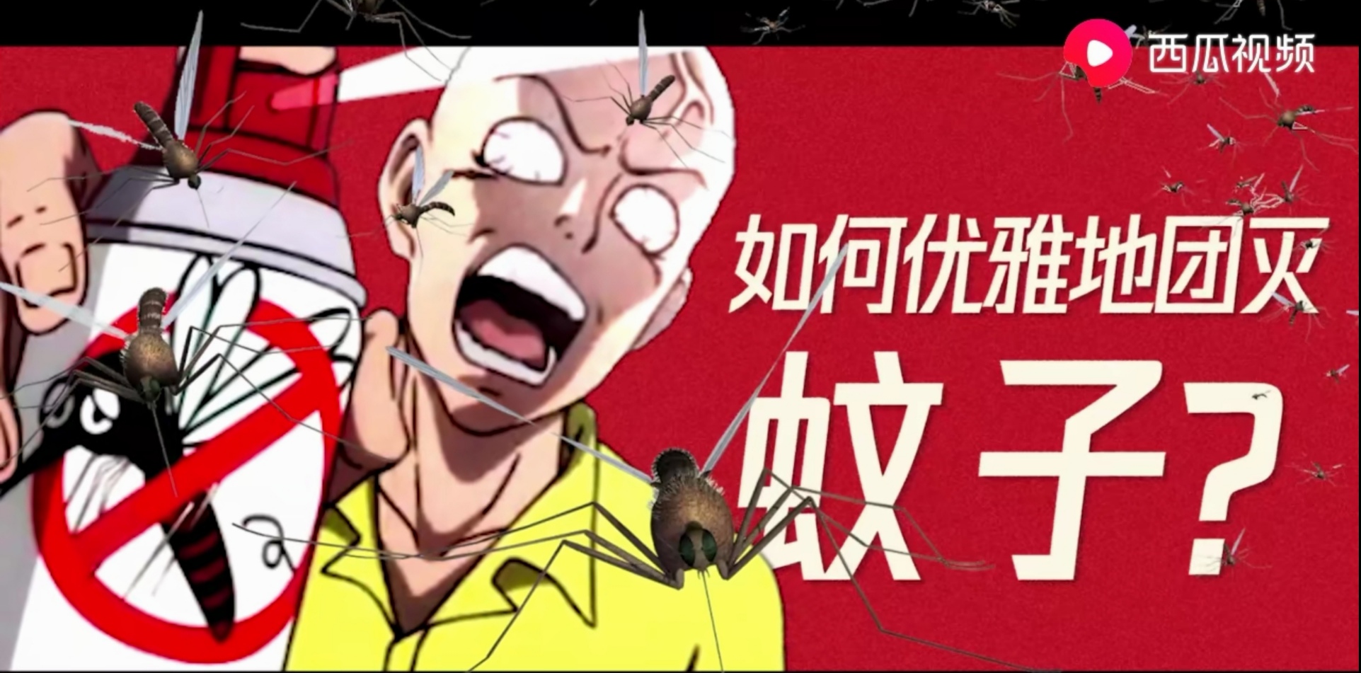 一场陷入僵局的战争，西瓜视频为你讲述人蚊间的血泪斗争史