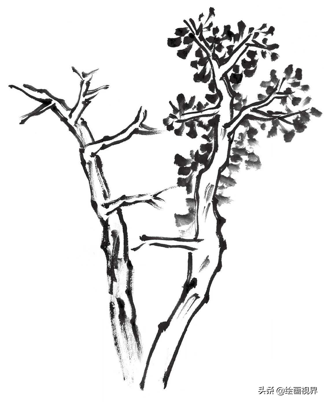 国画双钩树的画法入门,国画杂树与山石的画法图片