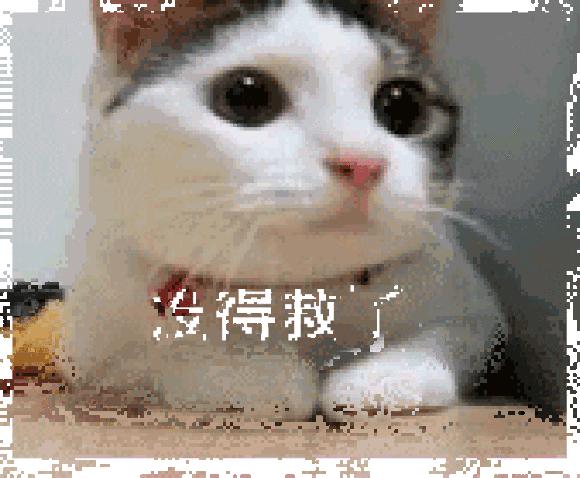 汽车空调有死老鼠味是什么原因,汽车空调死老鼠味怎样去除