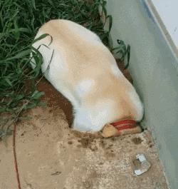 齐鲁儒小贤｜淄博傅家镇有个人做了件好事，流传了500多年