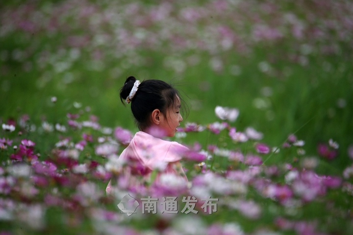 南通市北高新科技城未来发展,南通市北高新科技城规划