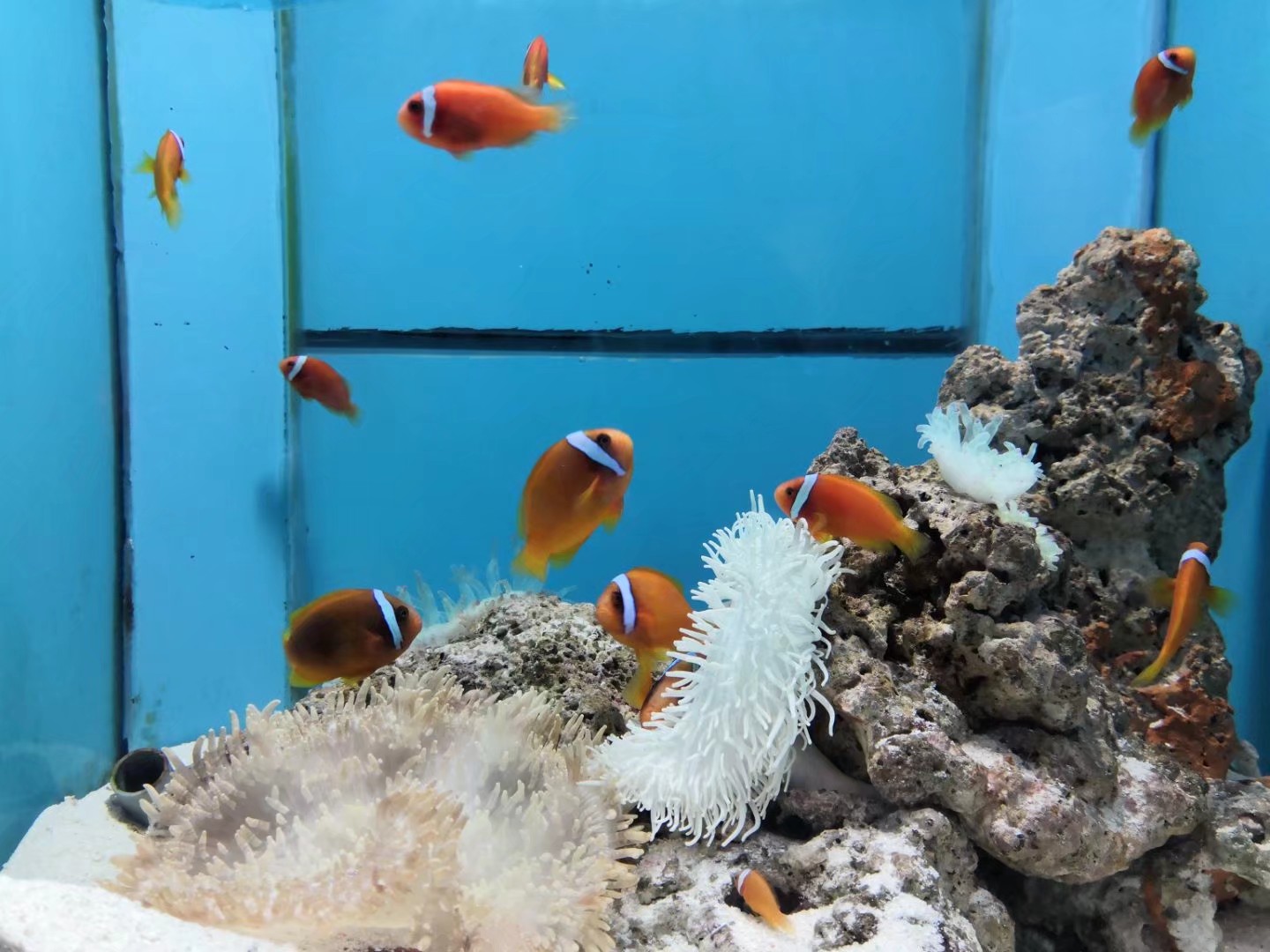 横店梦幻谷景区旅游攻略,横店最全打卡攻略梦幻谷篇