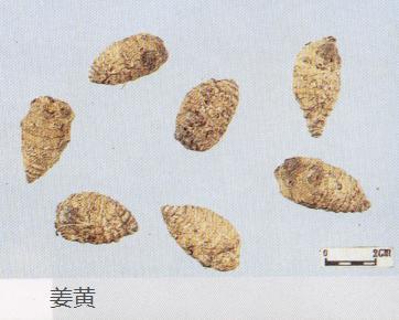 教你怎样辨别真假三七粉,网上买到的假三七粉怎么辨别