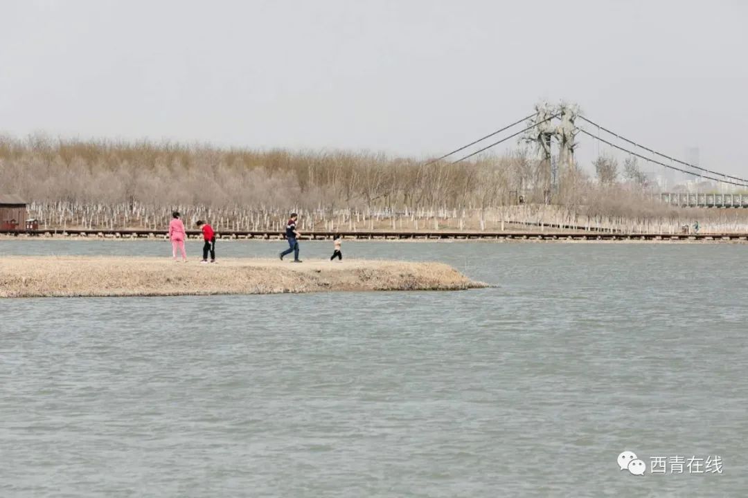 天津2022哪些公园恢复开放,天津2022年四月开放的公园