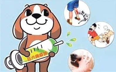 被猫狗咬伤了要怎么办动画,被猫狗轻微抓伤怎么办