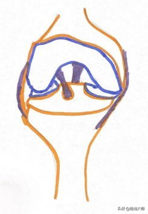 膝关节疼痛用神经阻断疗法,膝关节的疼痛与治疗综述