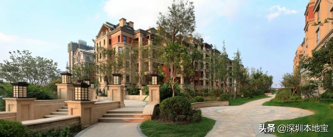 深圳市盐田区综合发展规划,深圳改革开放40周年盐田发展规划