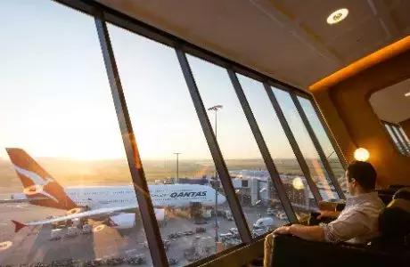 空中“最靓的仔”很像猫，高举的尾巴显英豪