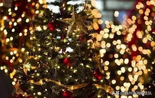 圣诞树彩灯引发火灾,圣诞树大火的后果
