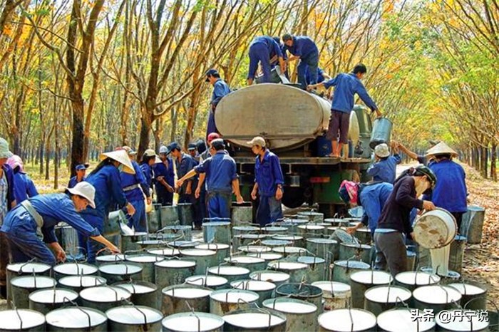 橡胶鞋底透不透气,橡胶鞋底耐不耐穿