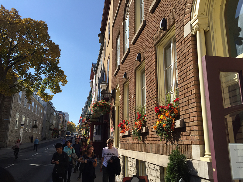 加拿大新西兰澳大利亚哪个国家好,加拿大澳大利亚新西兰和英国关系