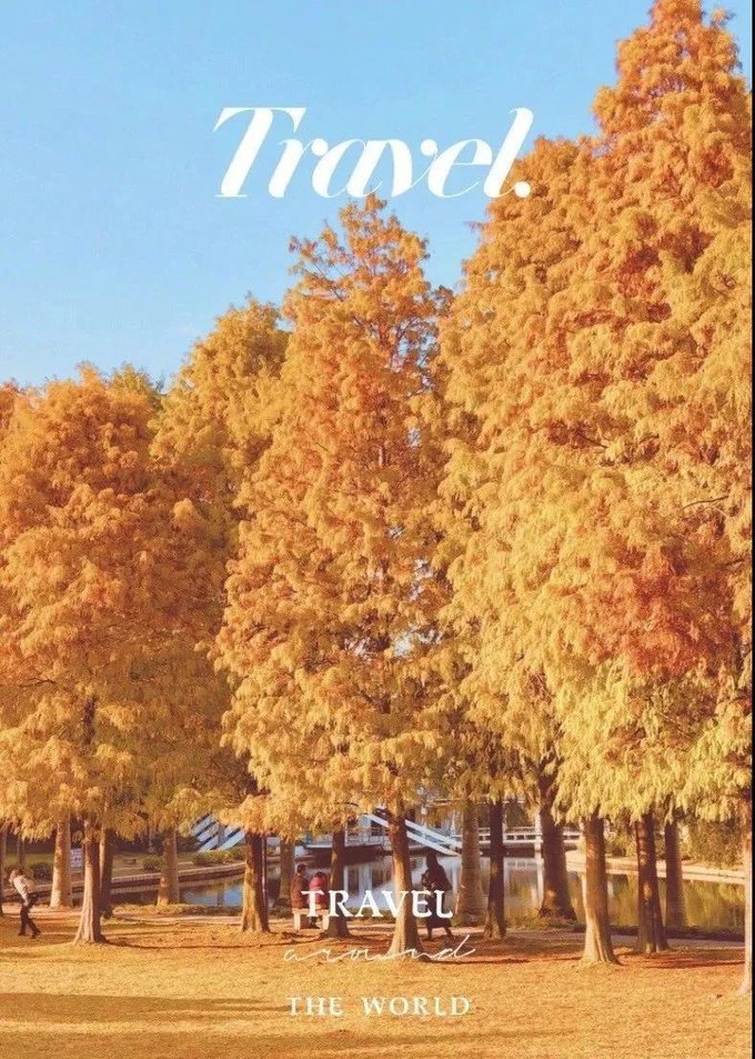 2023年厦门自由行热门攻略,厦门春节旅游攻略自由行最佳路线