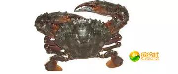 舟山海鲜攻略2天3晚吃什么,舟山海鲜代加工攻略