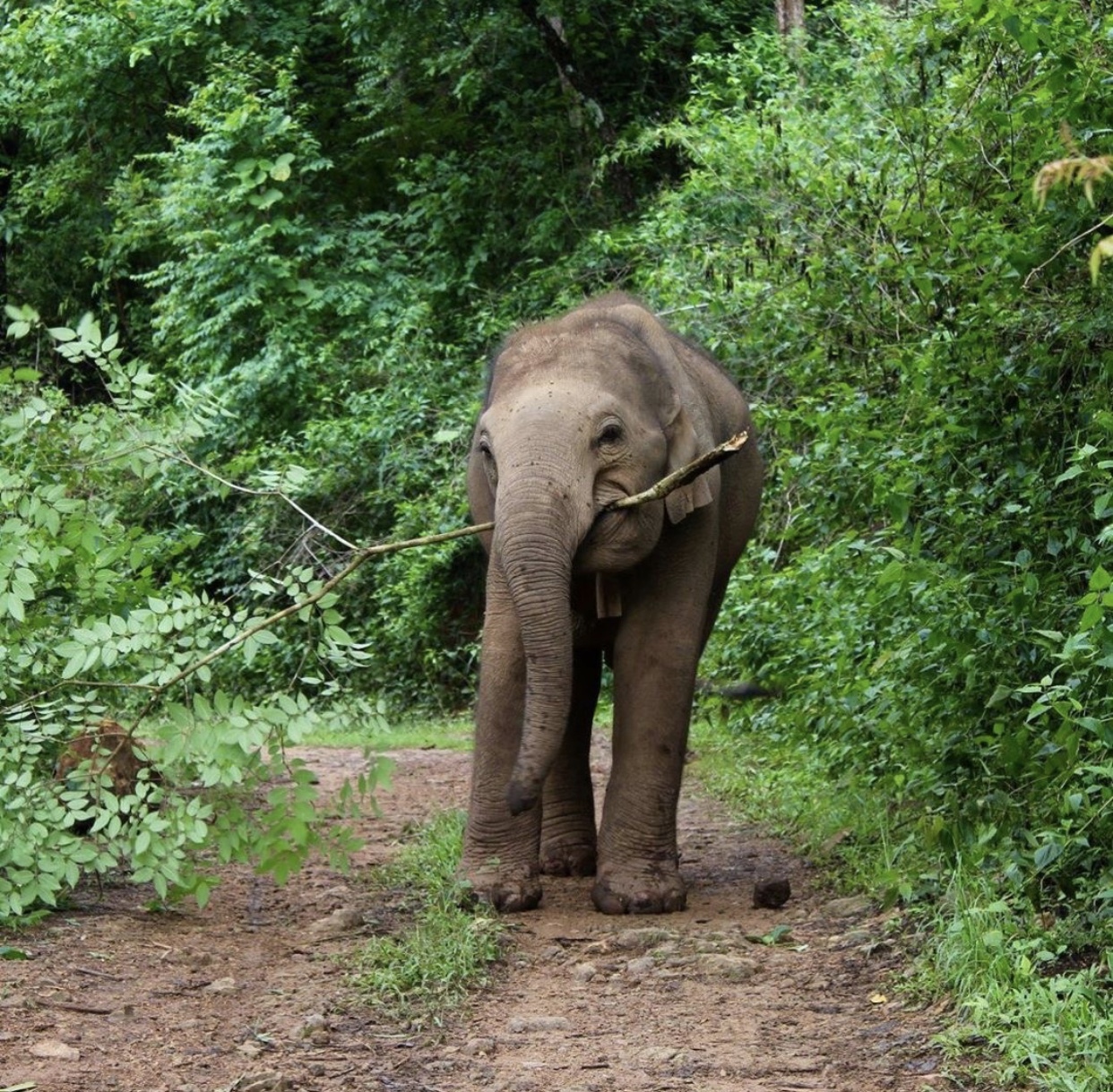 3000元即可出国旅游的7个好去处,小众便宜的出国旅游地
