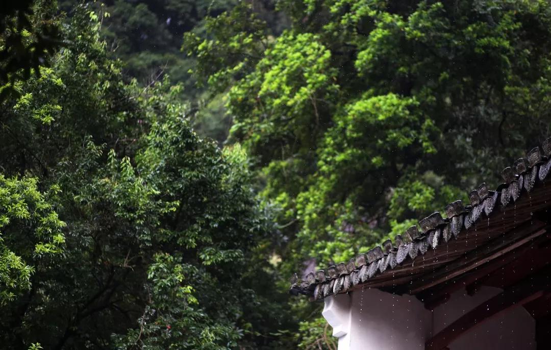 雅漾地址,雅漾去红产品