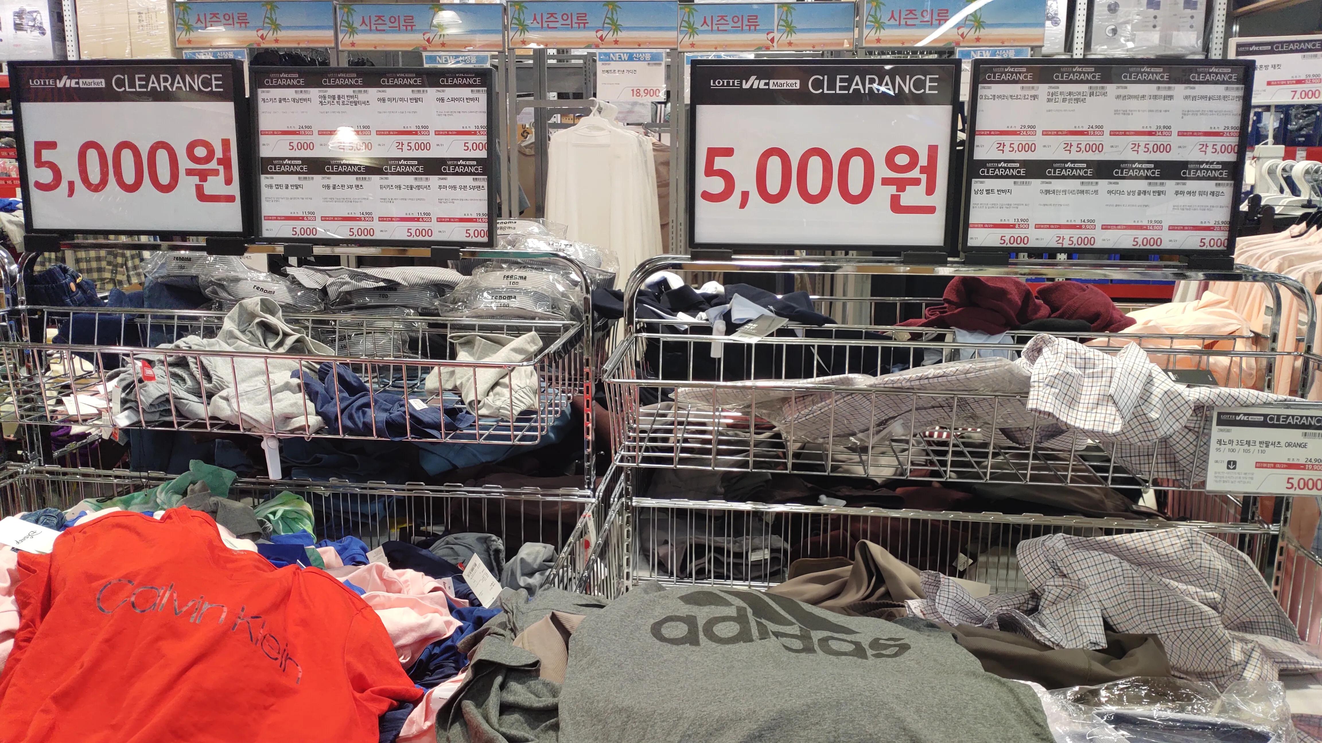 首尔layered咖啡,首尔很多萨摩耶的地方