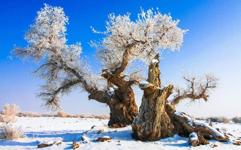 李贺的诗最经典的十首,李贺炫技