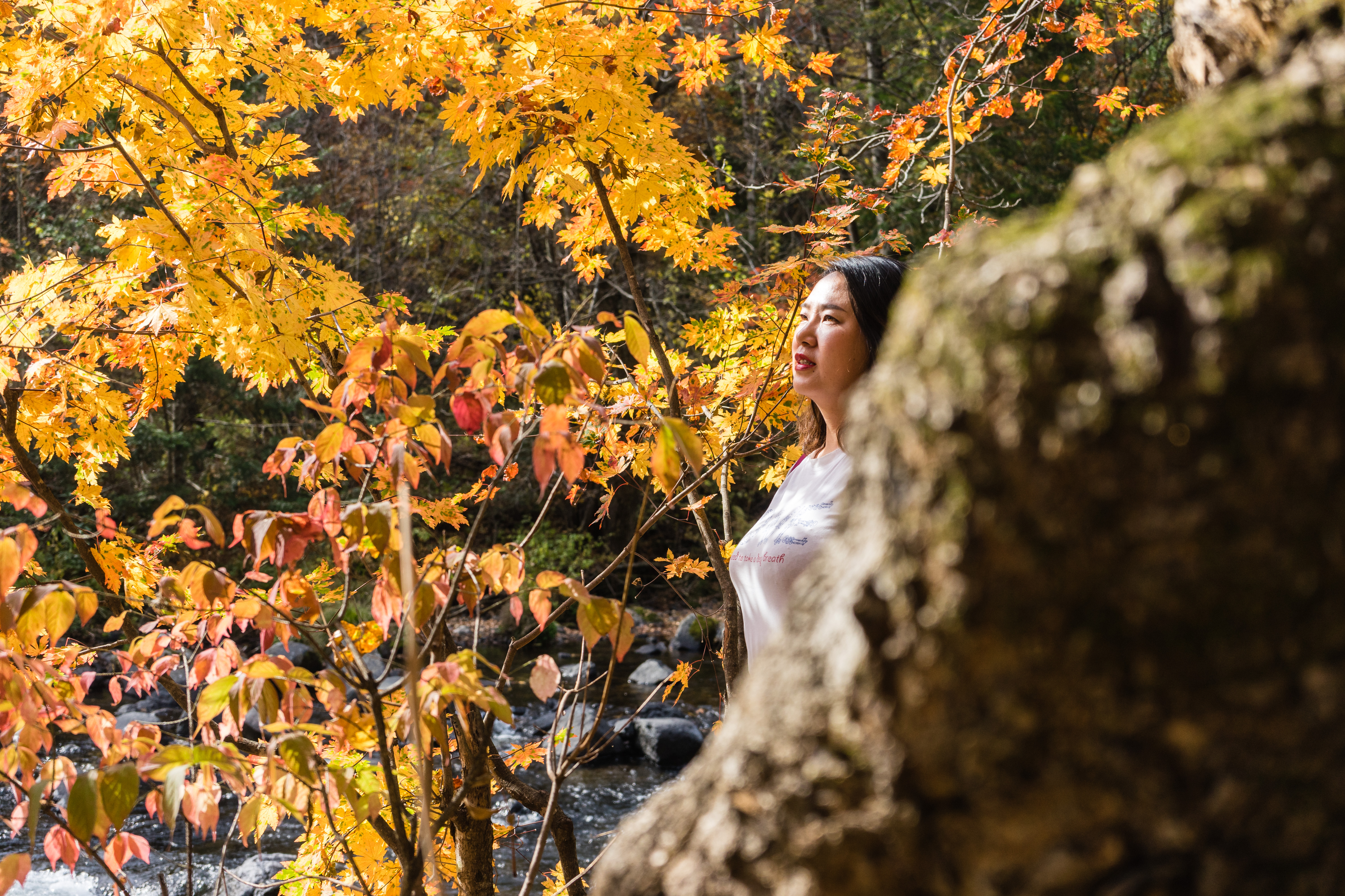 中朝边境自驾游视频,331国道自驾中朝攻略