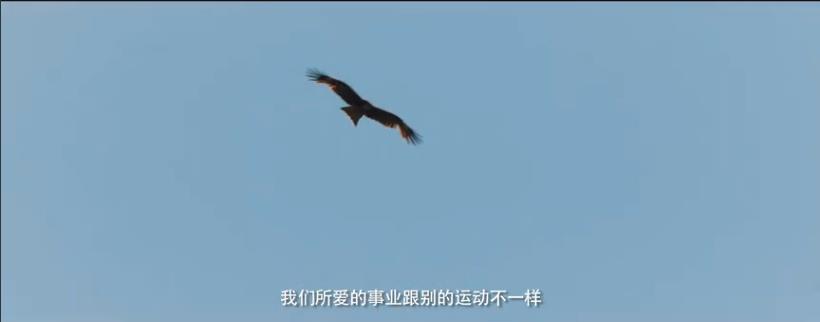 飞驰人生实力排行,飞驰人生评价怎么样