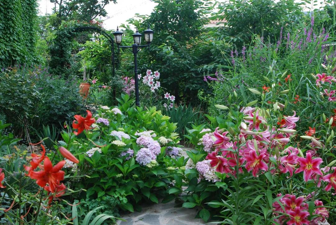 北方一年四季都开花的花园,东北花园四季开花植物