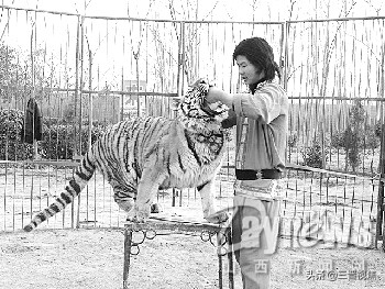 运城百勤公园在哪,运城市百勤公园