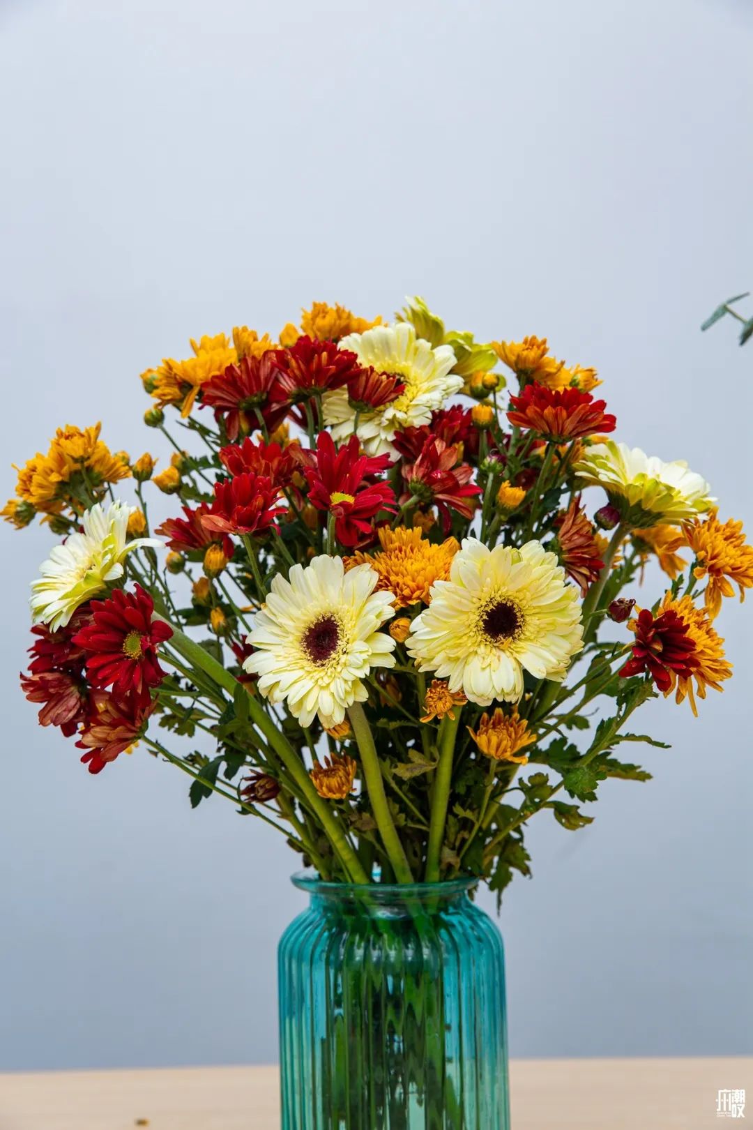 深夜去广州的花卉市场买花,如何逛斗南花卉市场买花便宜