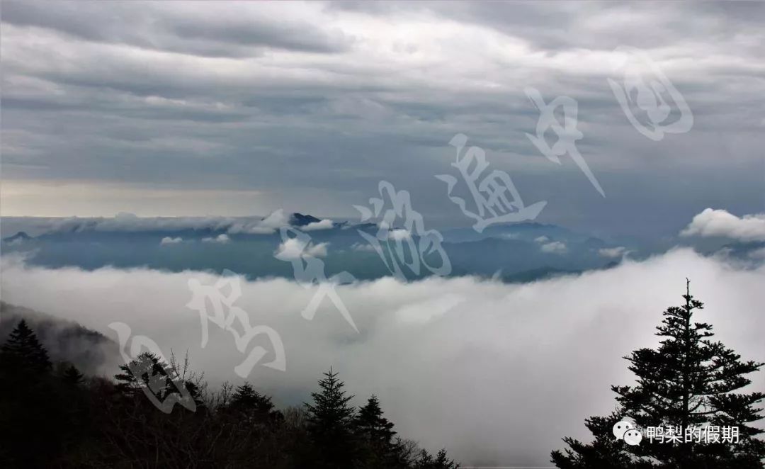 自驾车游遍中国之（一）——世界那么大，我想去神农架