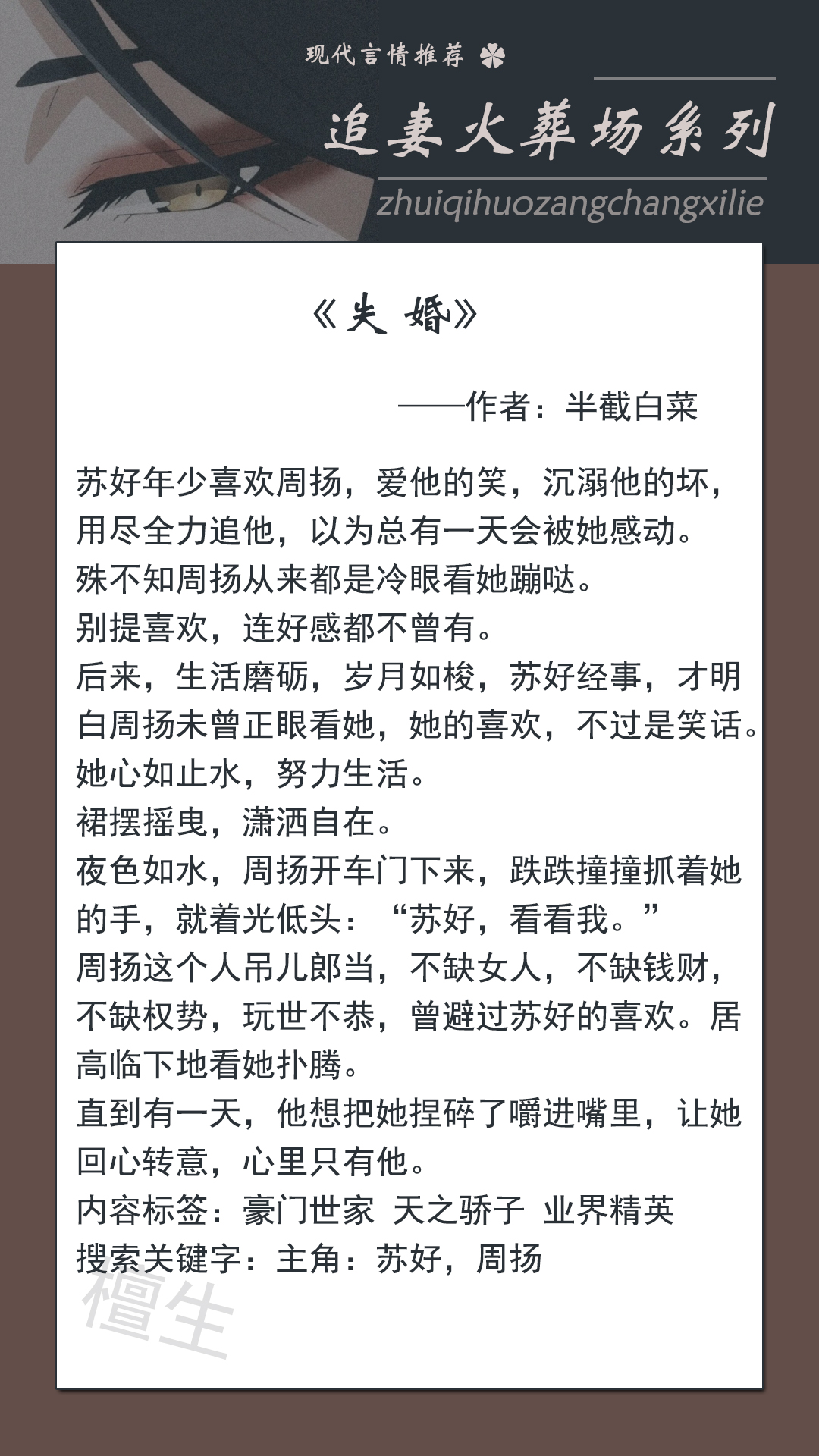 五本追妻火葬场仙侠文,五本男追女的小说