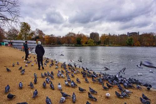 英国伦敦海德公园高度,真实的伦敦海德公园