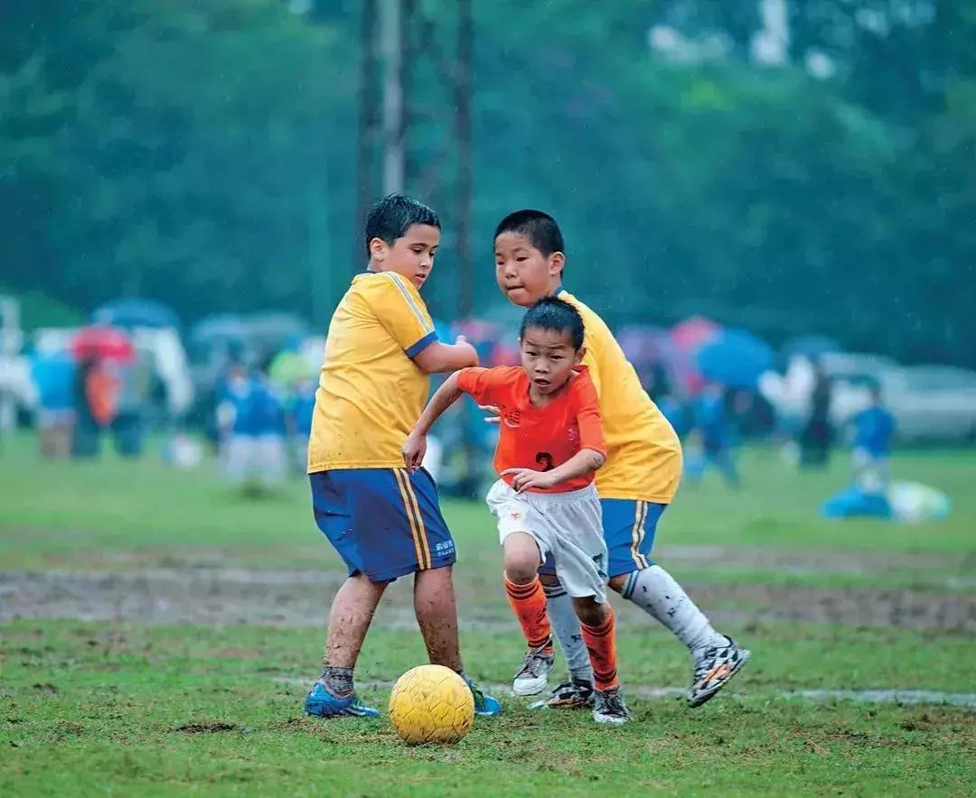 凤凰学校招生简章,凤凰学校招生公告