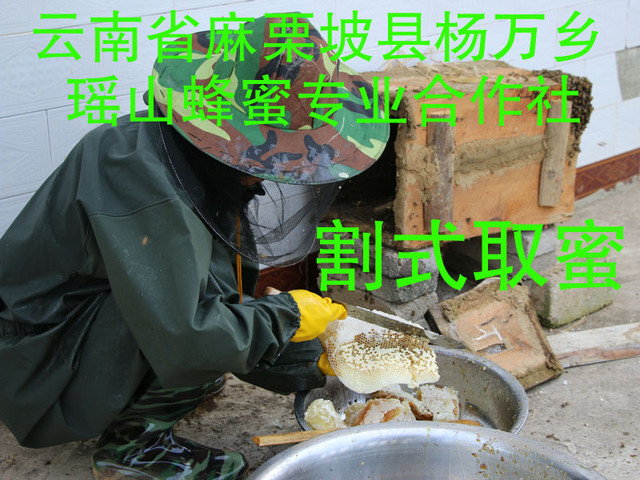 蜂蜜不加工可以直接吃吗,蜂蜜加工成熟方法