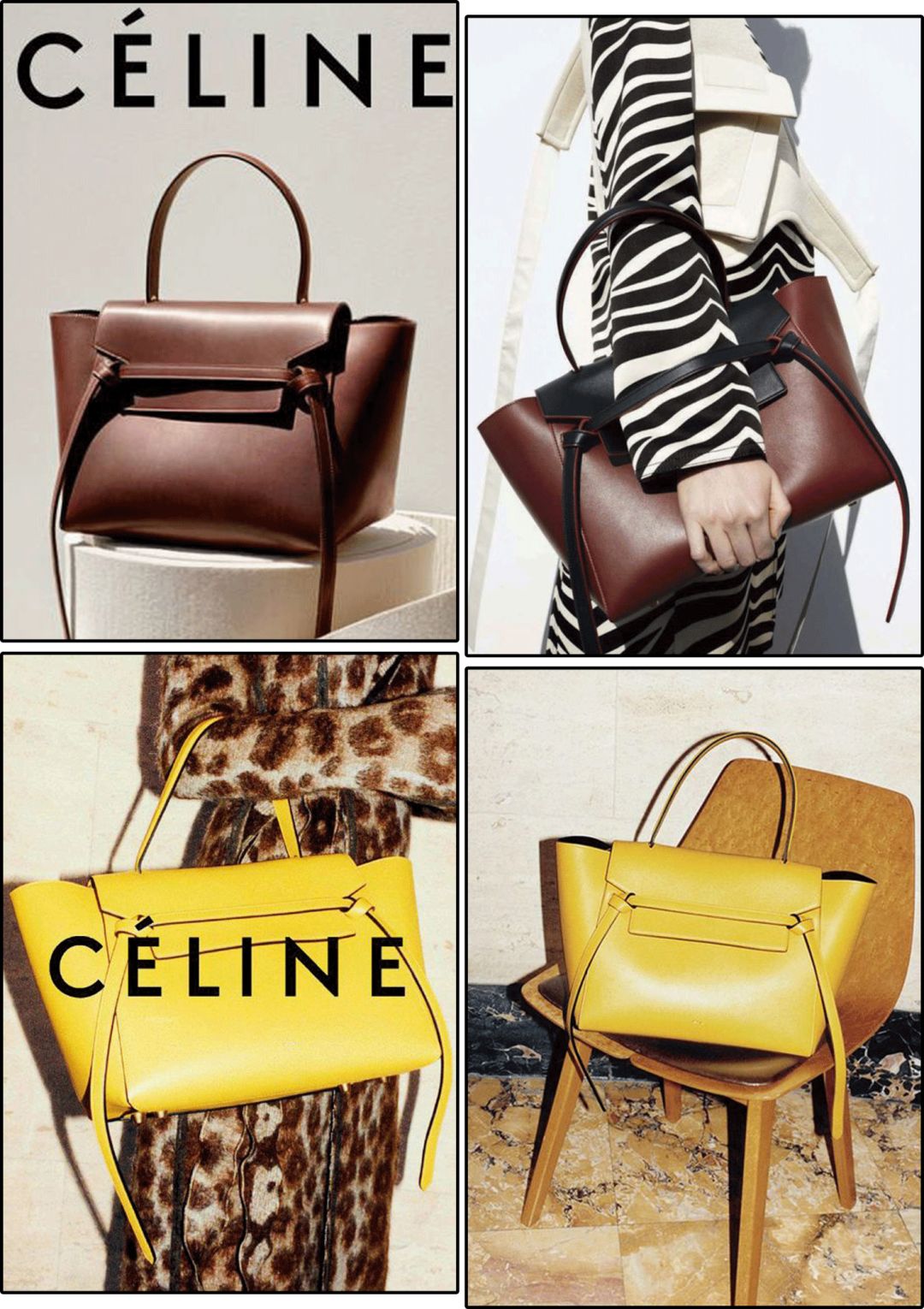 除了苏家和凌家还有什么家,除了苏家还有哪个家族