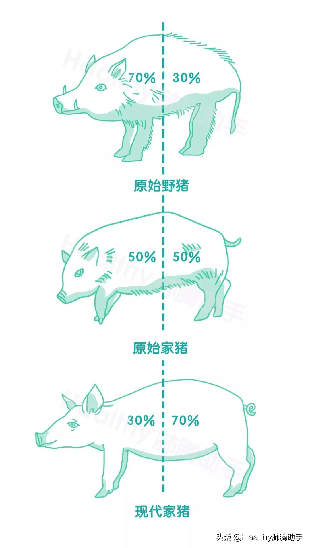 野味危害性多大,野味给人类带来的危害