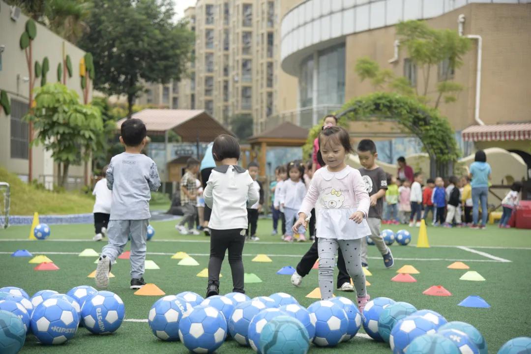 喜报幼儿园被评为省级一类园,获省优质幼儿园喜报