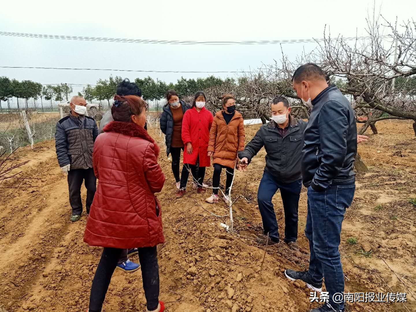 南阳市社旗县范伟刚：抗疫一线“尖兵”战贫一线“领路人”