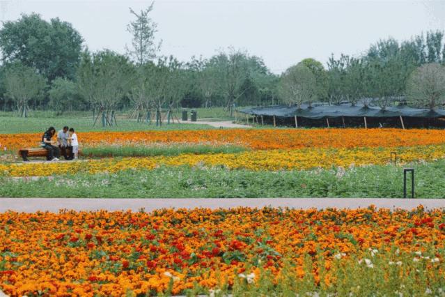 西安公园24小时开放,西安免费儿童玩的公园