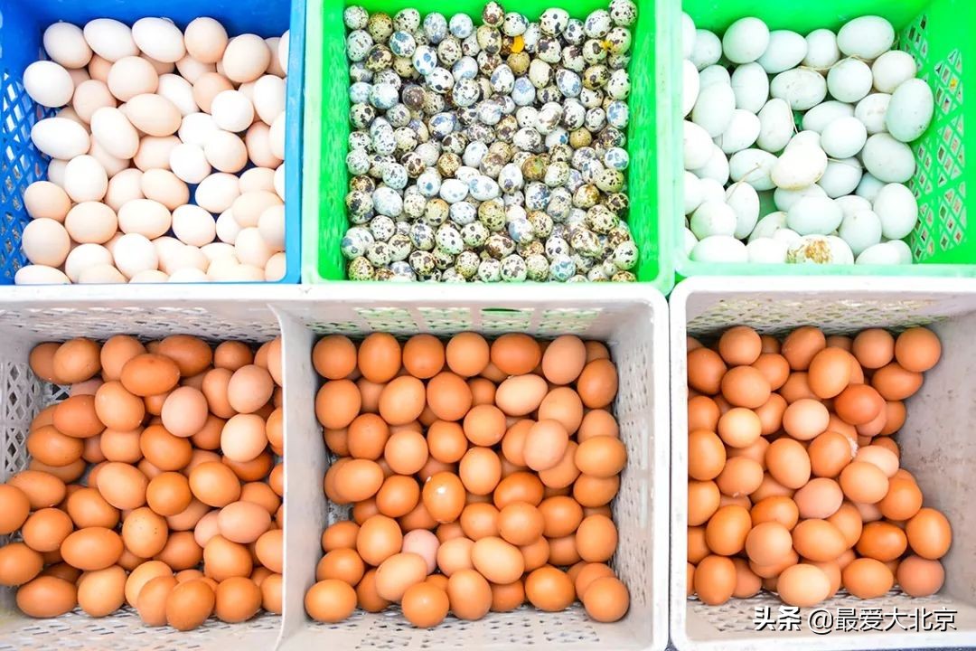 带你逛北京最大早市,北京正宗早市推荐