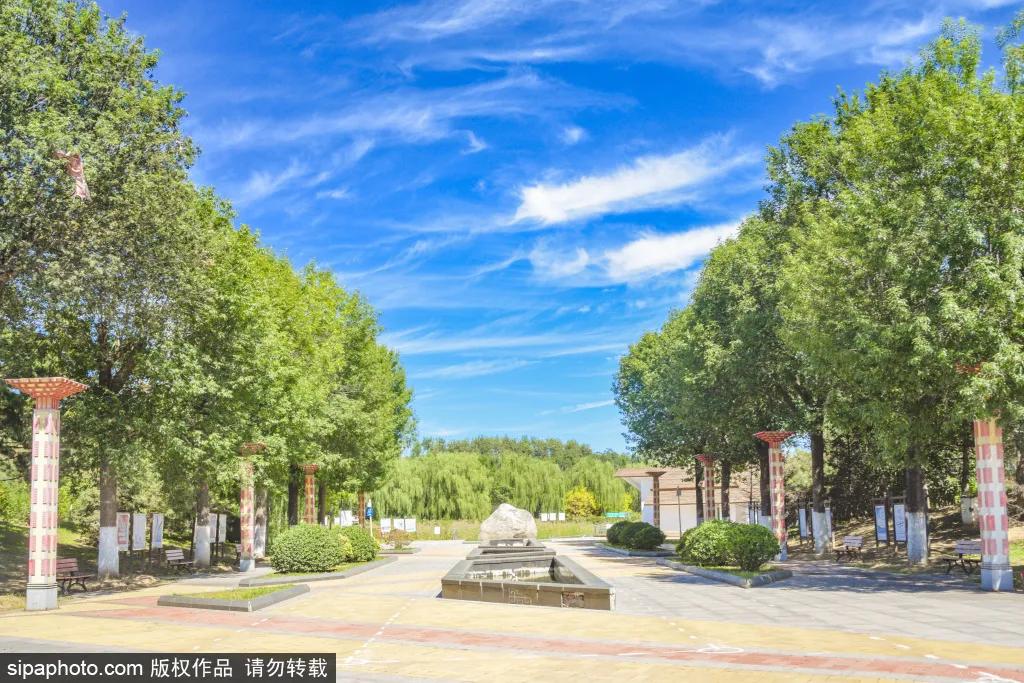 绿皮火车公园打卡景点,各种各样的免费公园