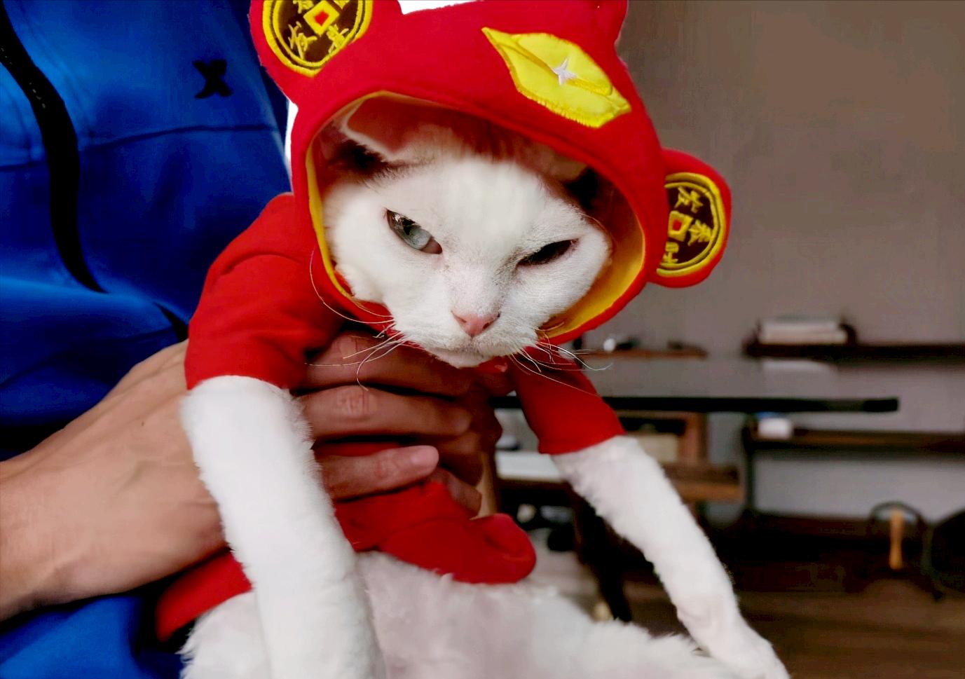 谢霆锋与王菲同框现身被网友偶遇,谢霆锋王菲再次同框