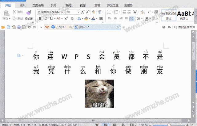 「干货集」WPS技巧汇总（一）